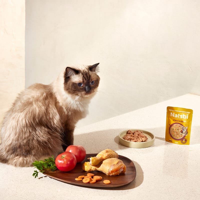 Steamed Gravy Cat Chicken Steamed Gravy Cat Chicken